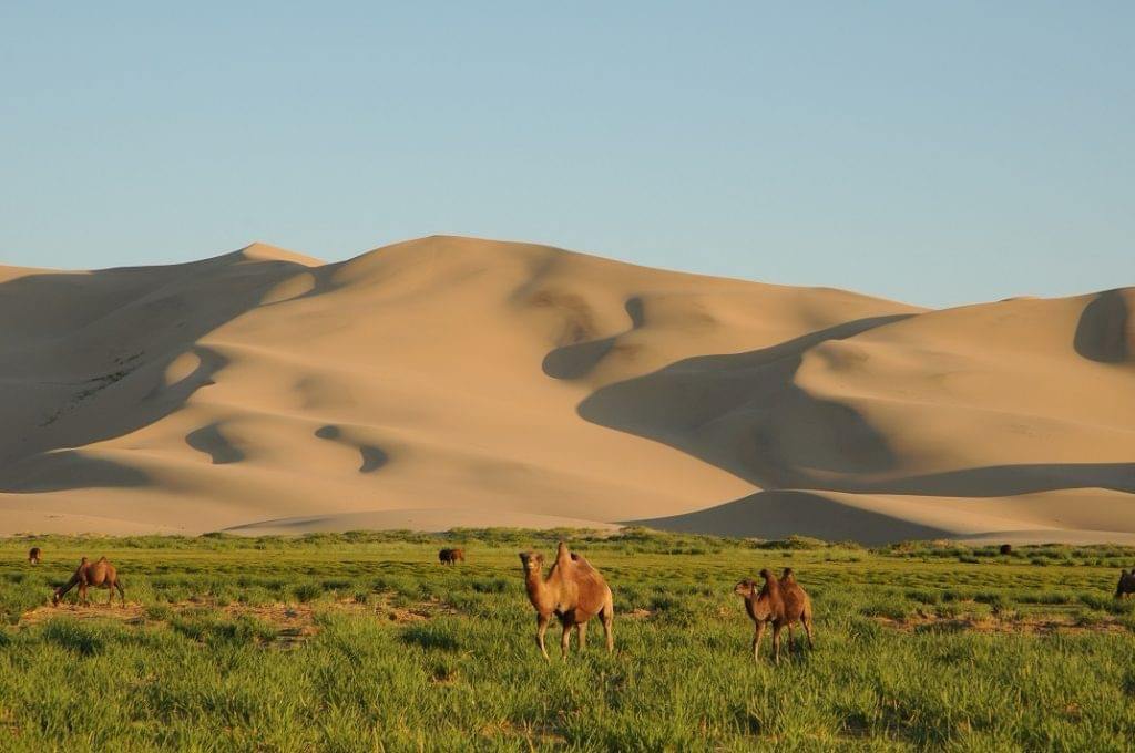 Terelj & Mini Gobi Tour